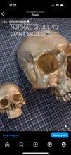 Load image into Gallery viewer, Gotta Hustle 1.0 Skullpture (#21 - #30)